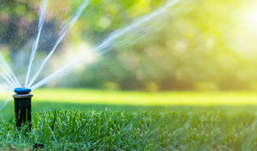 Preparing Your Garden & Pasture for Spring: Fertilizers, Seeds, & Soil Health