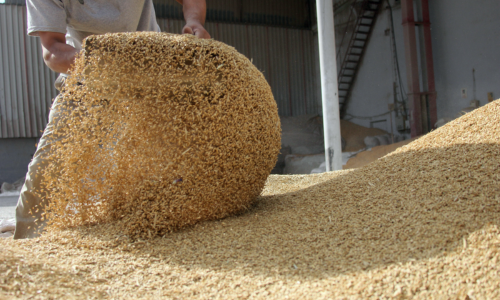 Feed being tossed in a silo.