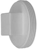 PLUG 1-1/2 MIPT PVC
