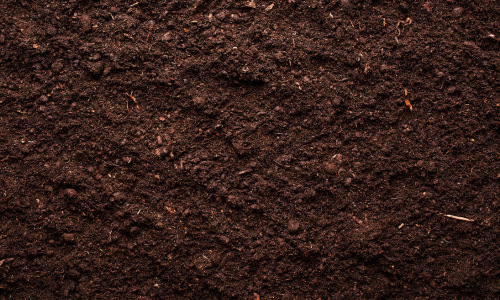 Soil