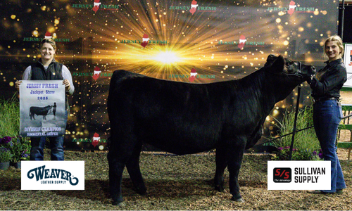 A posed show cow wirth it's owners and a Weaver / Sullivan brand logo overlay.