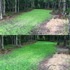 Antler King Jolt Foliar Fertilizer