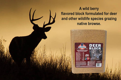 Kalmbach Feeds Deer Block (Wild Berry)