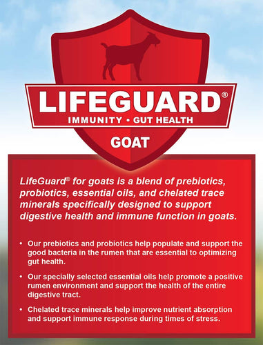 Kalmbach Body Builder® 15% Goat Pellet