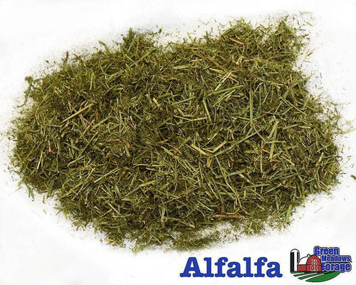 Green Meadows Alfalfa Forage
