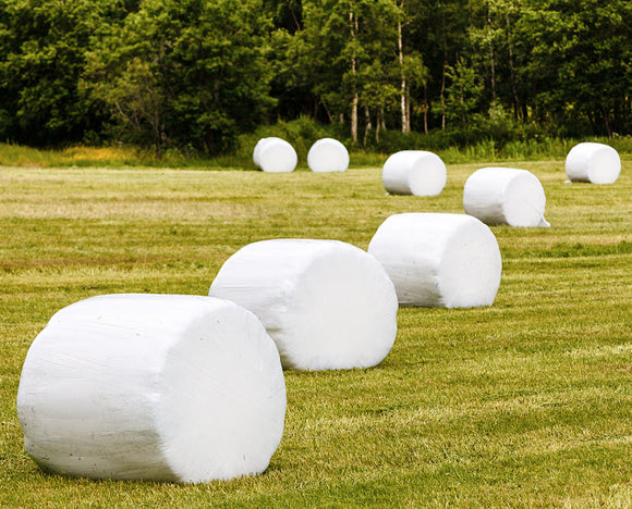 Frank Winne Harvest Master 30