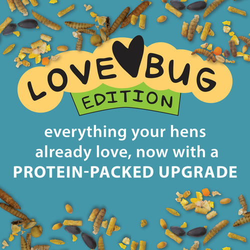 Kalmbach Feeds Henhouse Reserve Love Bug™ for Chickens and Poultry