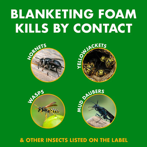 SPECTRACIDE Foaming Wasp & Hornet Killer
