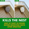 SPECTRACIDE Foaming Wasp & Hornet Killer