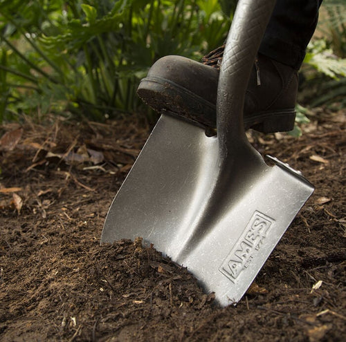 Ames Long Wood Handle Round Point Shovel